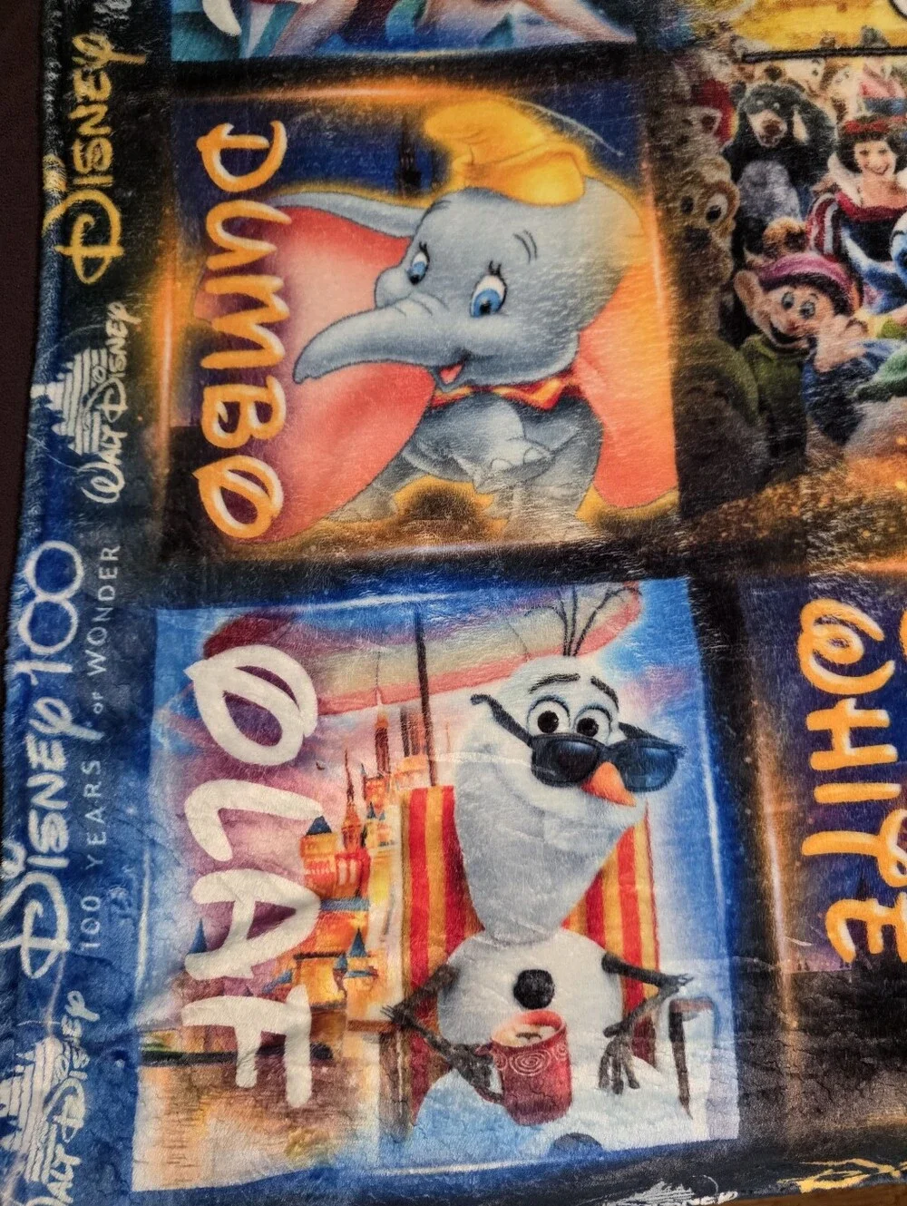 Disney 100 Years of Wonder Multicolor Throw Blanket